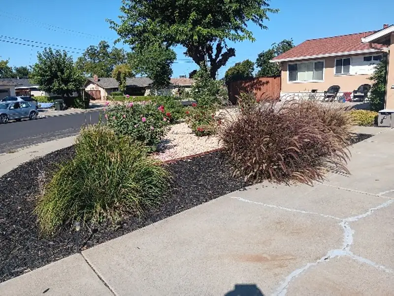 Backyard Landscaping