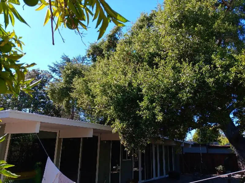 General Landscaping's other services