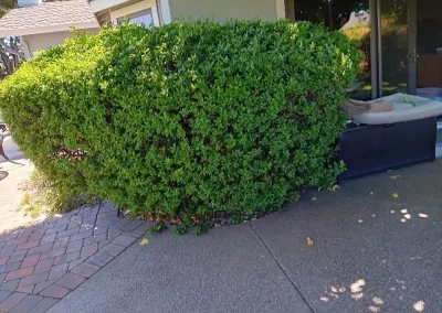 Landscape Contractor