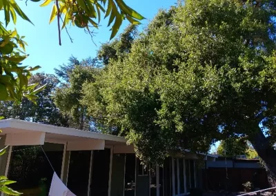 Landscape Maintenance