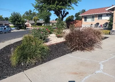 Landscaping Contractor